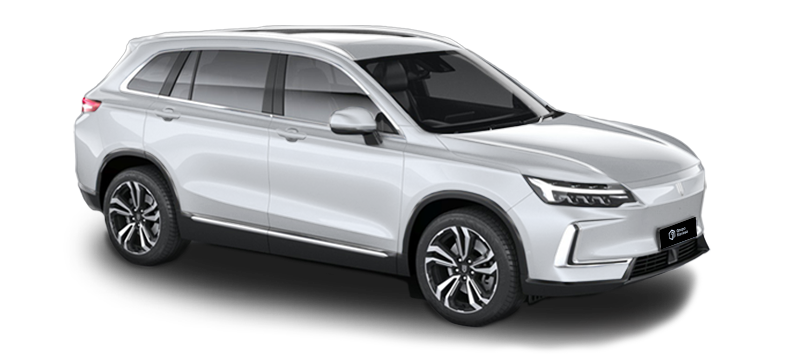 SUV Skywell BE11